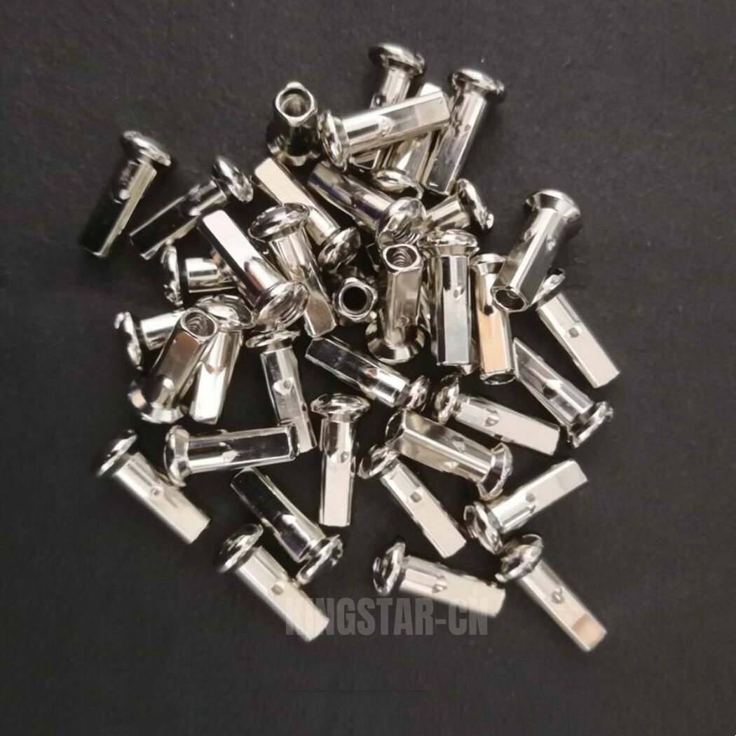 Custom Made Any Length 12G Electric Bicycle 12g E-bike Spokes & nipples 304 SS