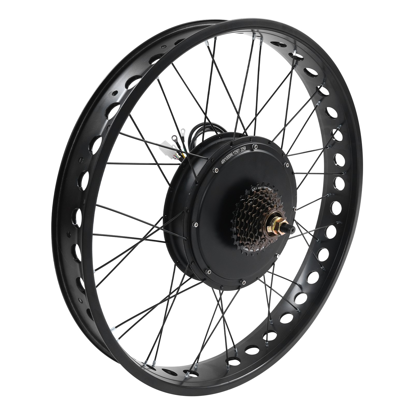 26″x4″ 48V Electric Bike Rear Wheel Hub Motor LCD E-Bike Conversion Kit 1000W