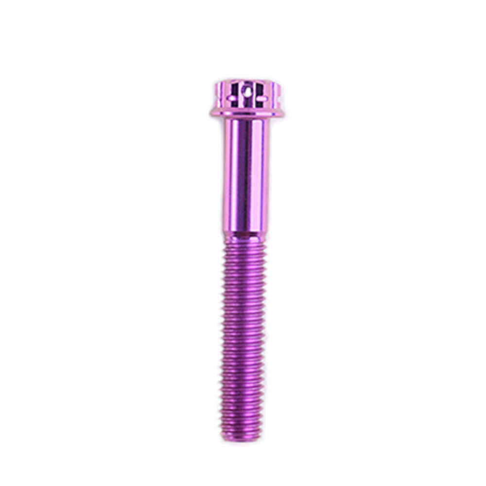 Titanium Screw, Torx Head Screw M8x10 – 120mm Green/Purple/Candy for Motorcycle
