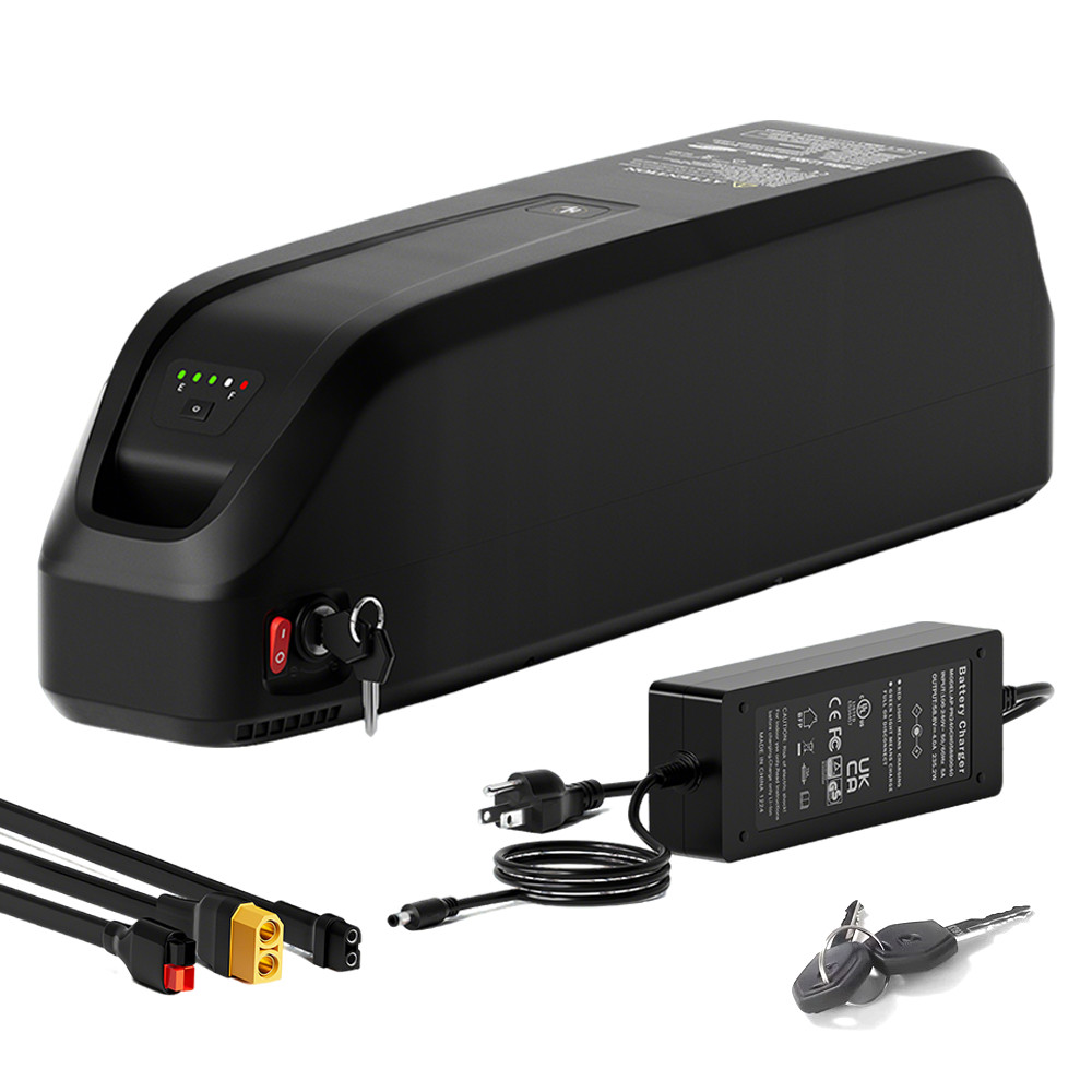 52V 20Ah Hailong HL Ebike Lithium Battery 50A BMS with Sa-sung Cells 100-2600W