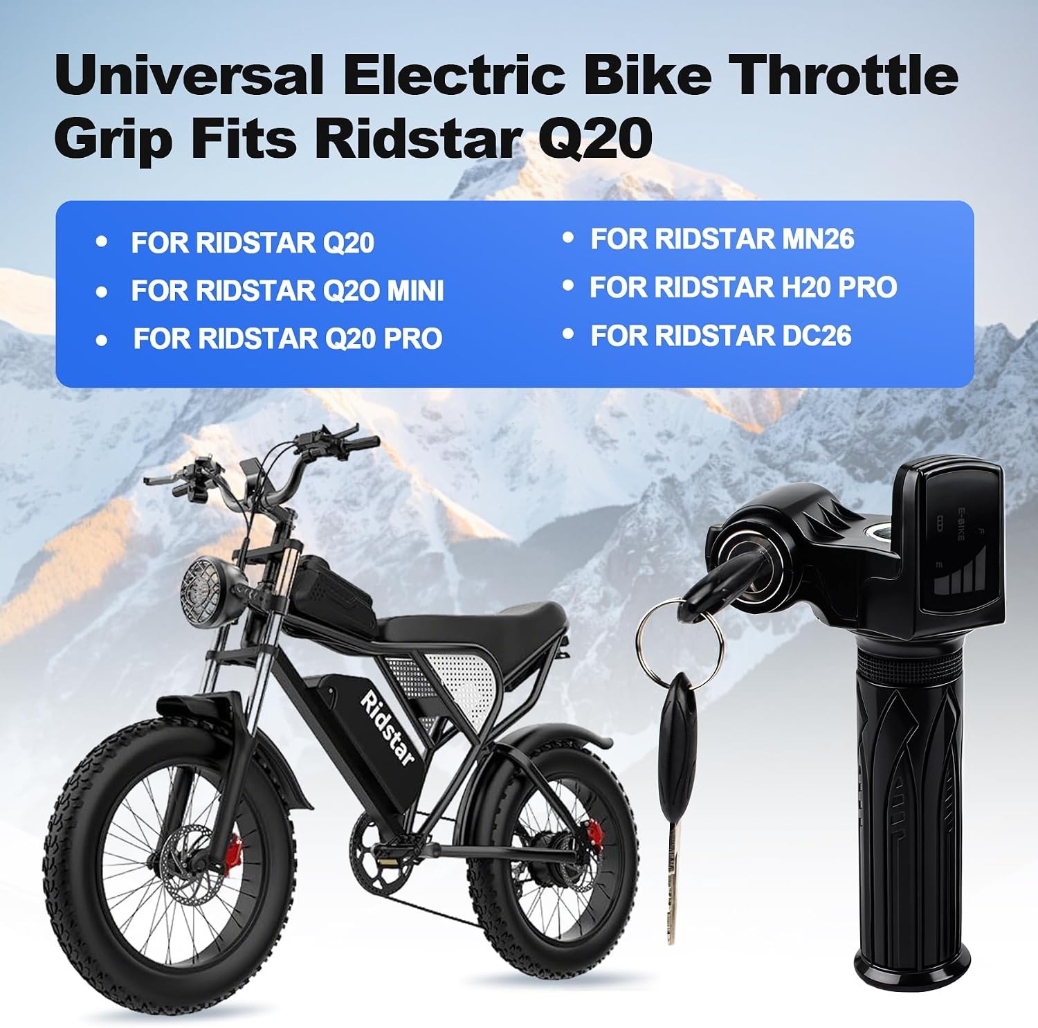 48V Ebike Full Twist Throttle,LCD Display and Key Lock, Universal Electric Bike