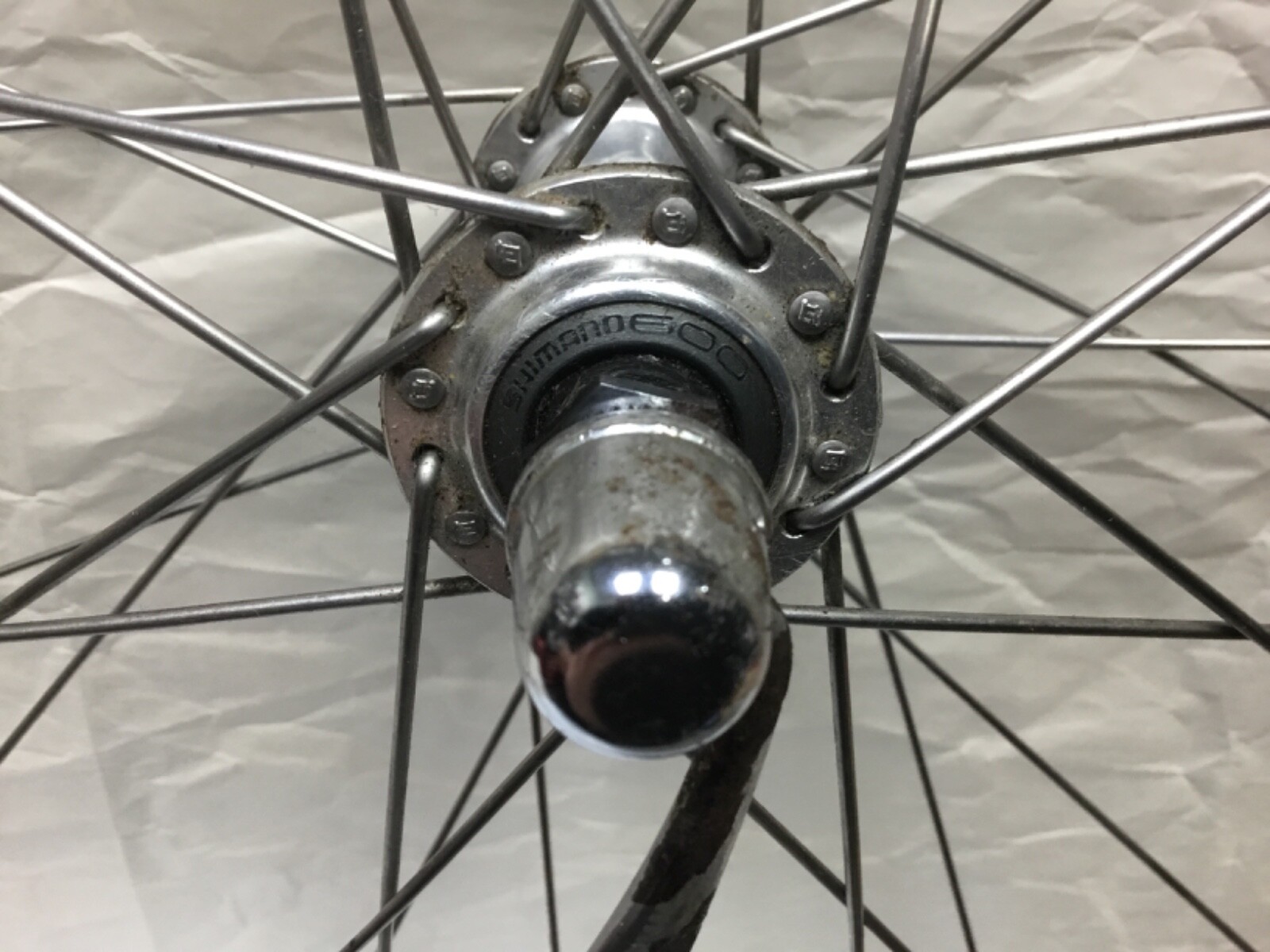 700c Campagnolo Omega-19 Front Wheel with Shimano 600 Hub and Quick Release Axle