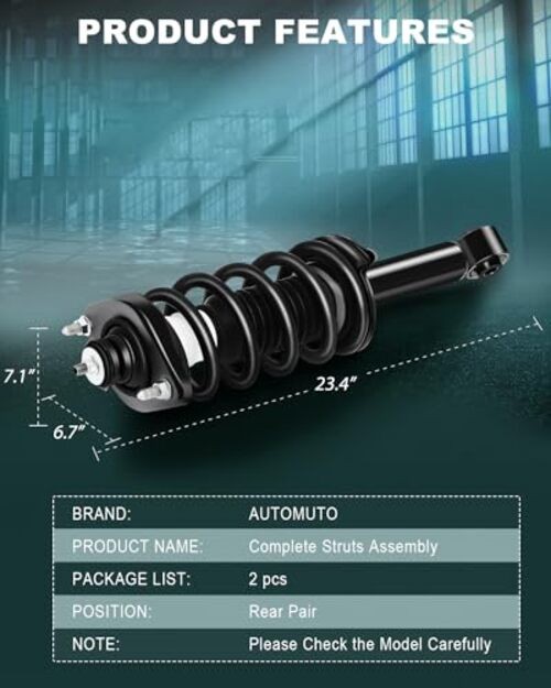 Rear Pair Complete Struts Coil Spring Assembly Shock Absorber Compatible with