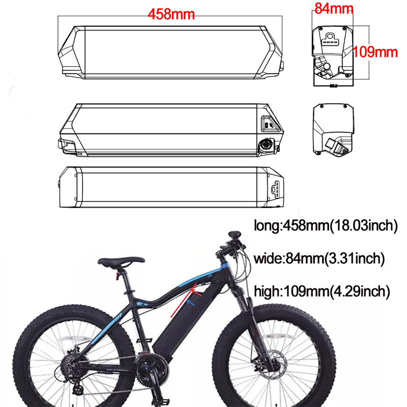 Ebike Battery 48V 25-30Ah Dorado Reention Cell for 0-1500W CM moscow ebike Motor
