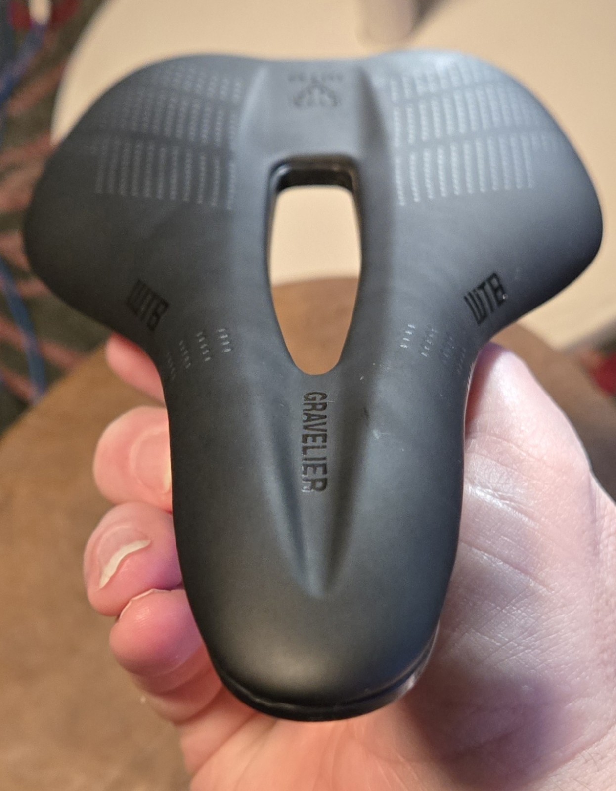 WTB Gravelier Saddle (Black) (Titanium Rails)