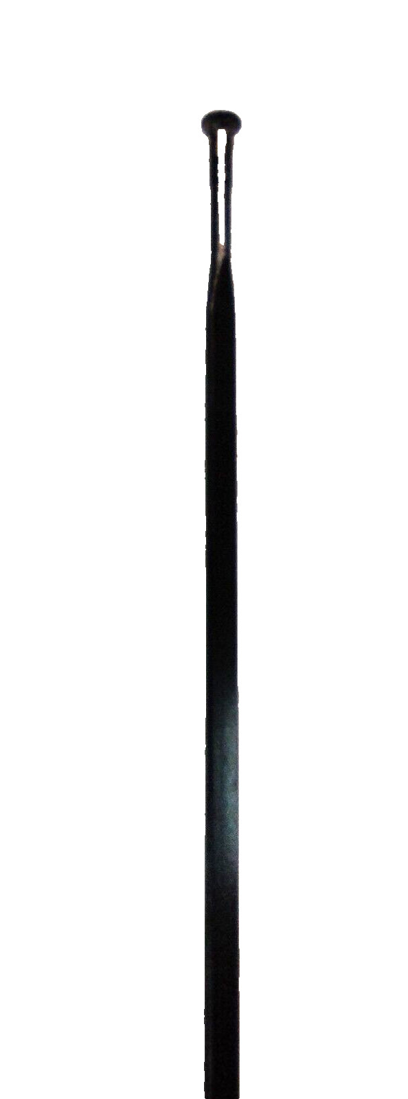 Mavic Kysrium 278mm Bladed Spoke Blk Straight Pull Road(single)