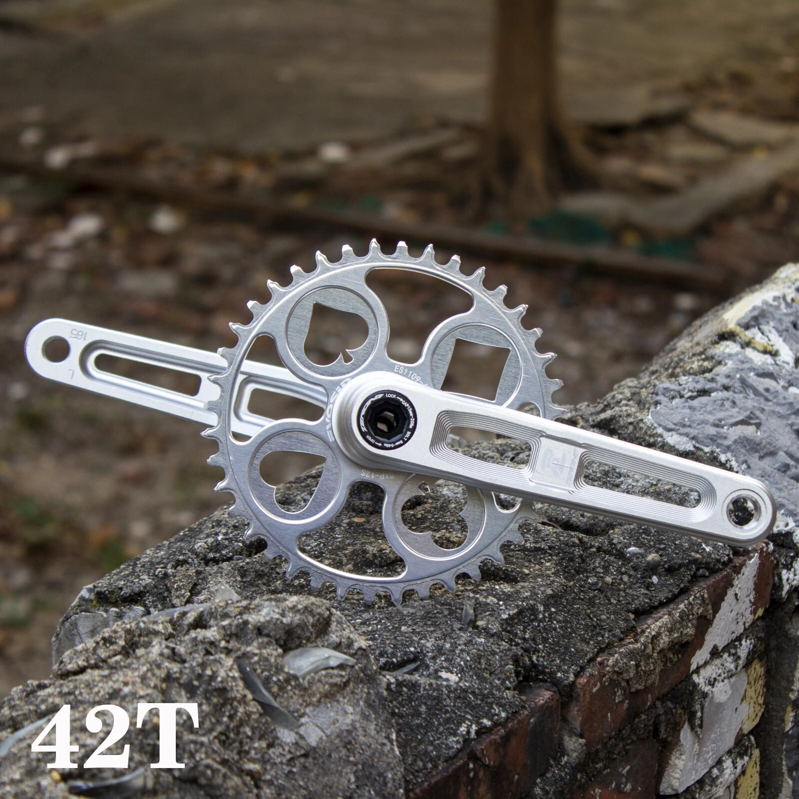 Road Bike Crankset 165mm 170mm Bicycle Crank Arm with 40 42 44 46 48T Chainring