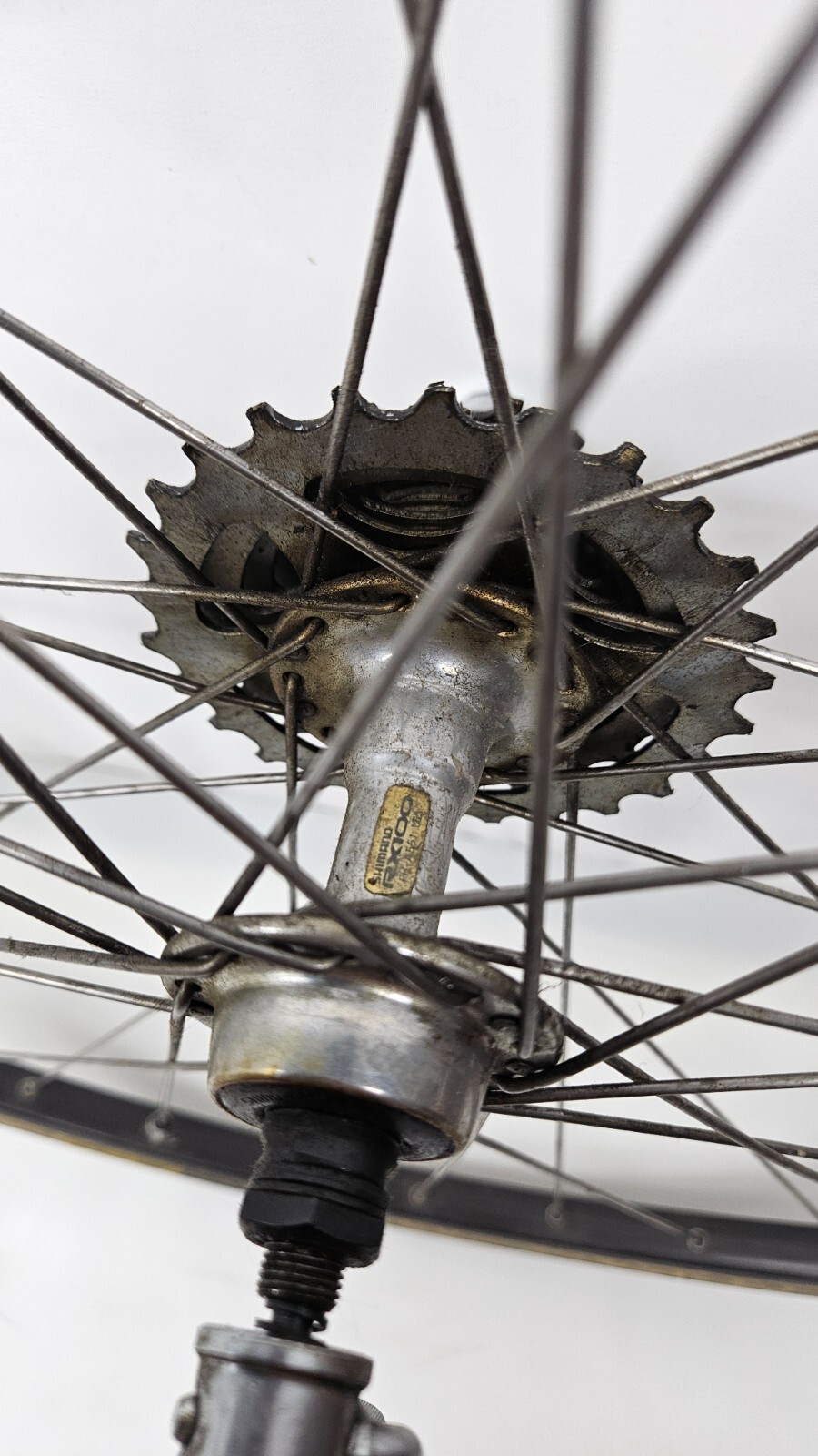 Nisi Hr22 8 Speed 700 Eroica Vintage Racing Bike