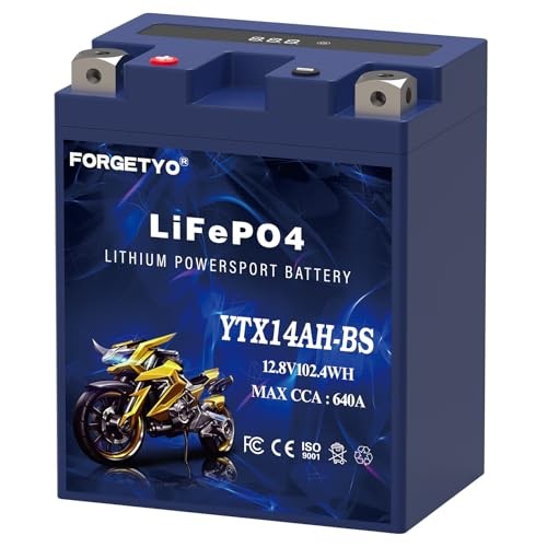 Lithium Motorcycle Battery, YTX14AH-BS 12V 8AH 640A LiFePO4 YTX14AH-BS Blue