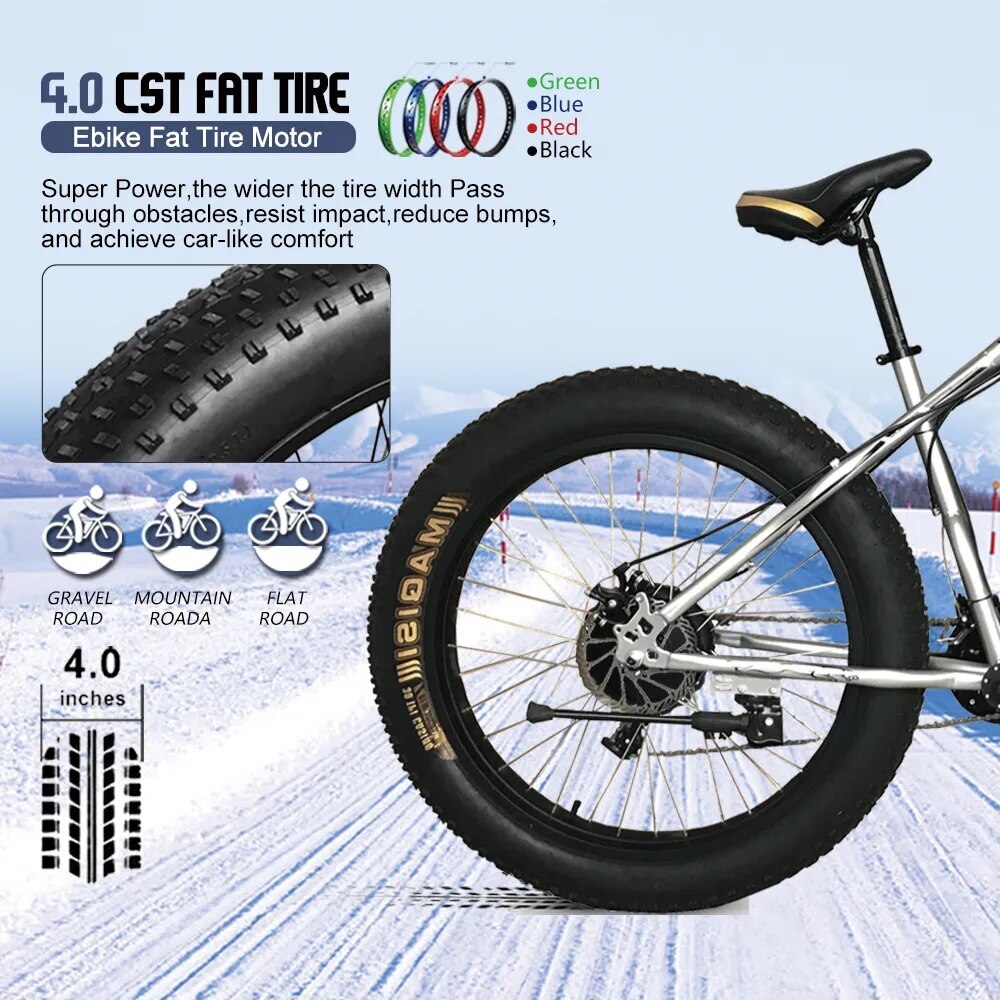 Snow E-bike Conversion Kit 20/26in 36V 48V 500W Rear Cassette Hub Motor Wheel