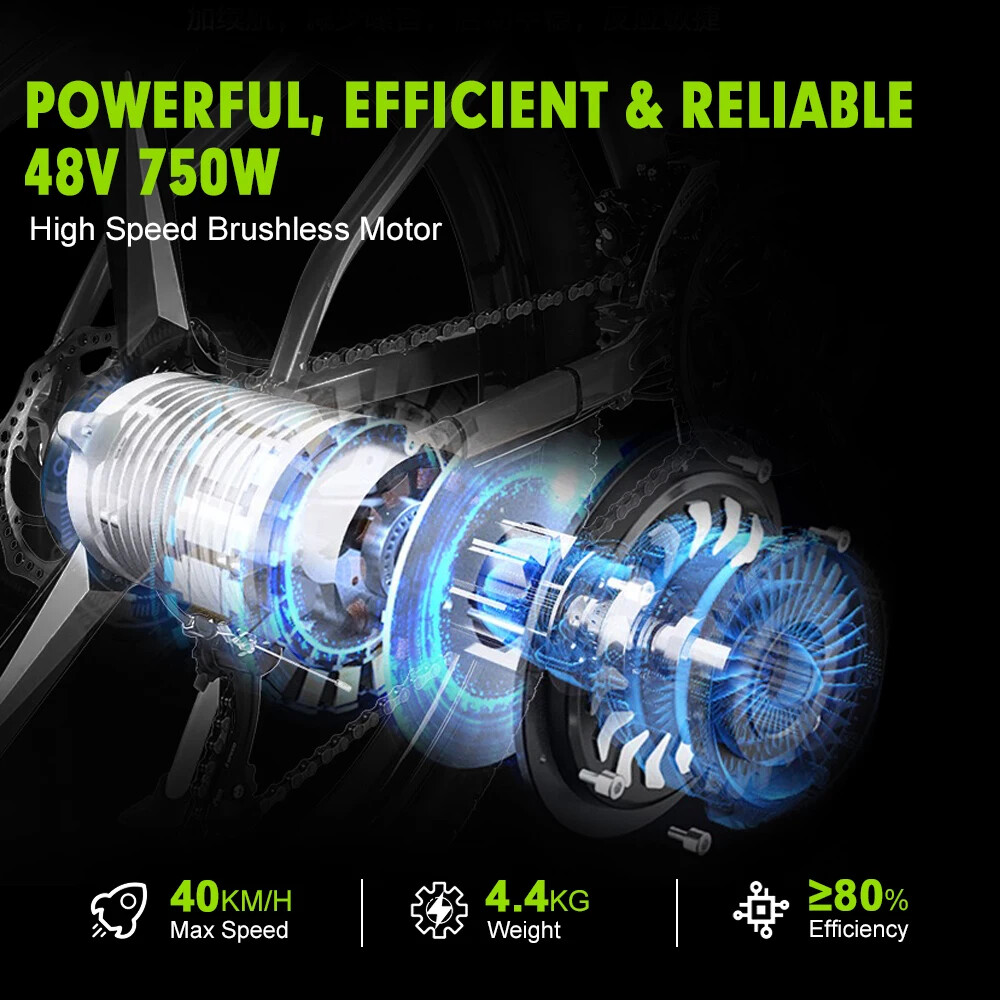 Snow E-bike 48V 750W 20 24 26inch Fat Tire Brushless Gear Rear Rotate Hub Motor