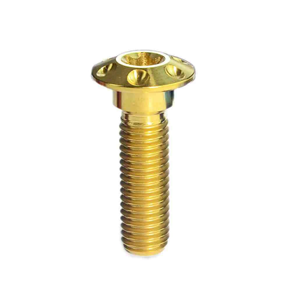 M8x20 25 30 40mm Titanium Screws Inner Torx Petal Head Motorcycle Brake Bolts