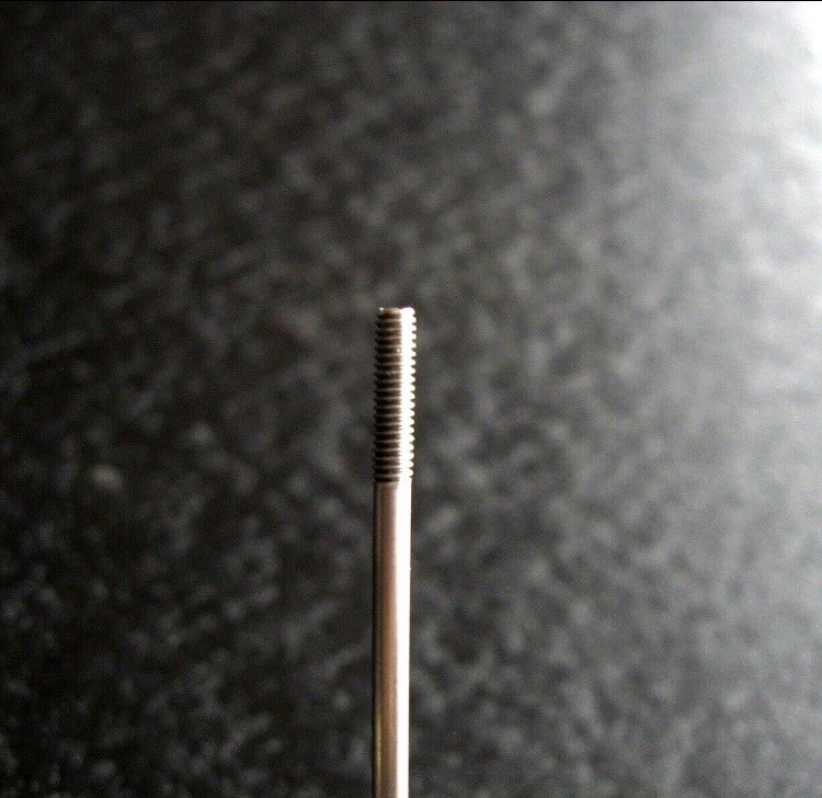 DT Swiss Champion Spoke: 2.0mm, 278mm, J-bend, Silver, Each
