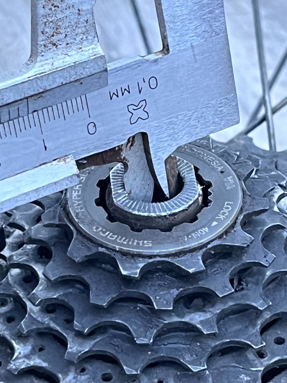 Rim rear wheel wheel 26 Cannondale Perp 26 Schwalbe Big Betty