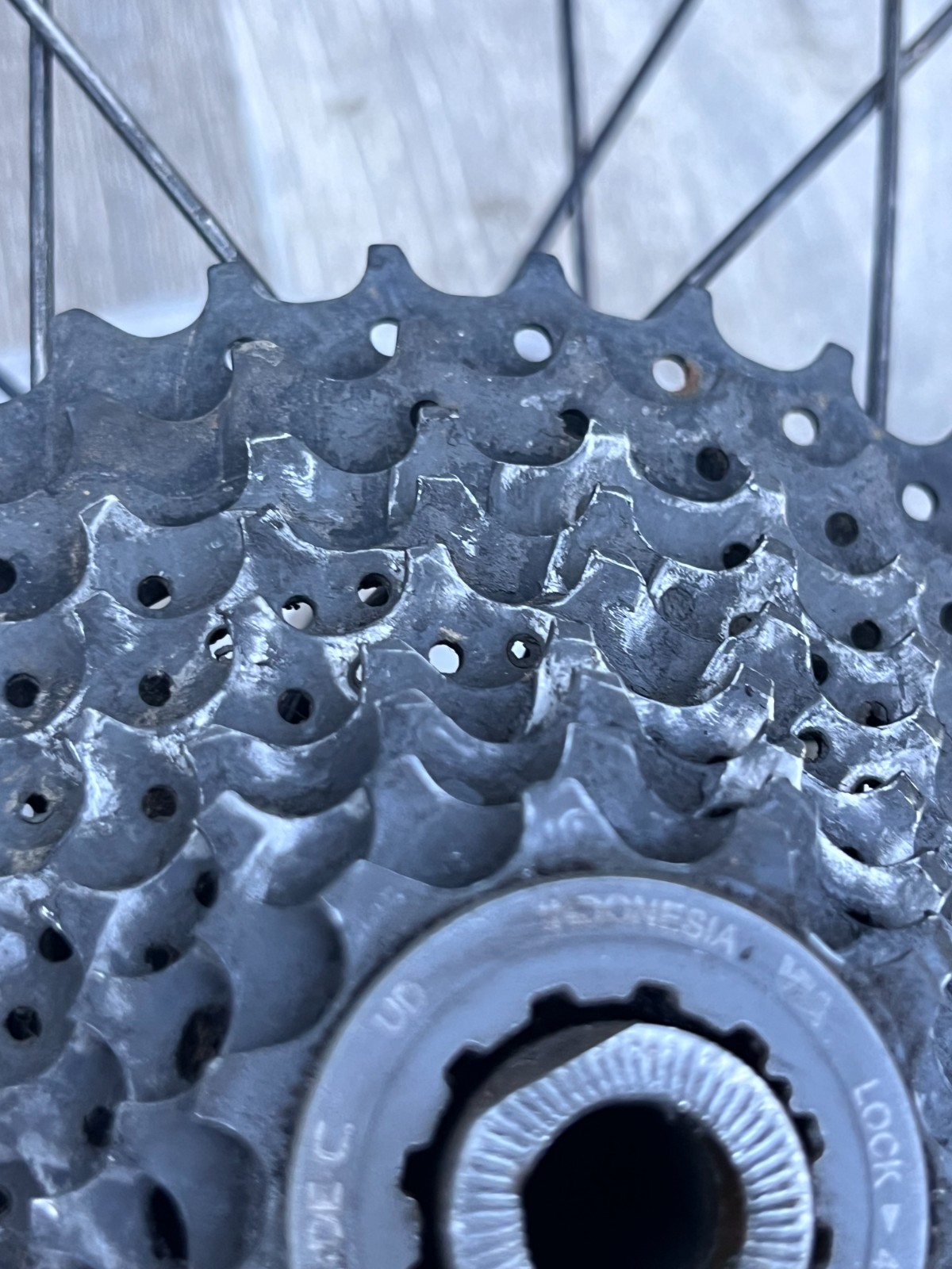 Rim rear wheel wheel 26 Cannondale Perp 26 Schwalbe Big Betty