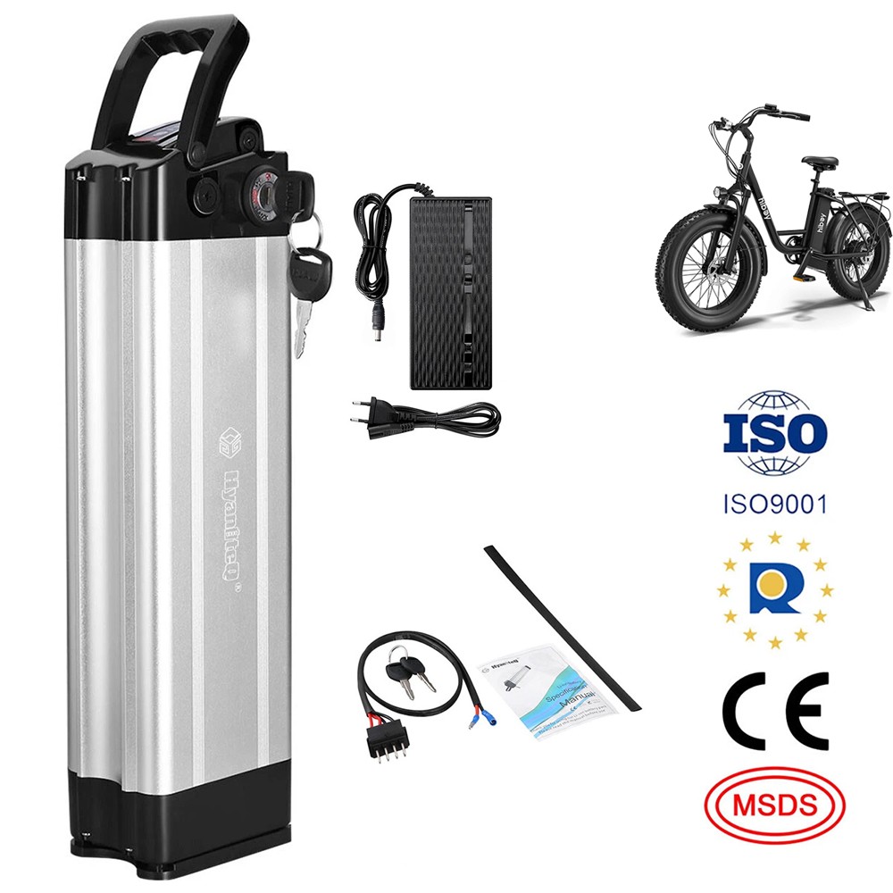 Silverfish E Bike Battery 48V 12.5Ah Lithium Battery For Hiboy Electric Bike EX6