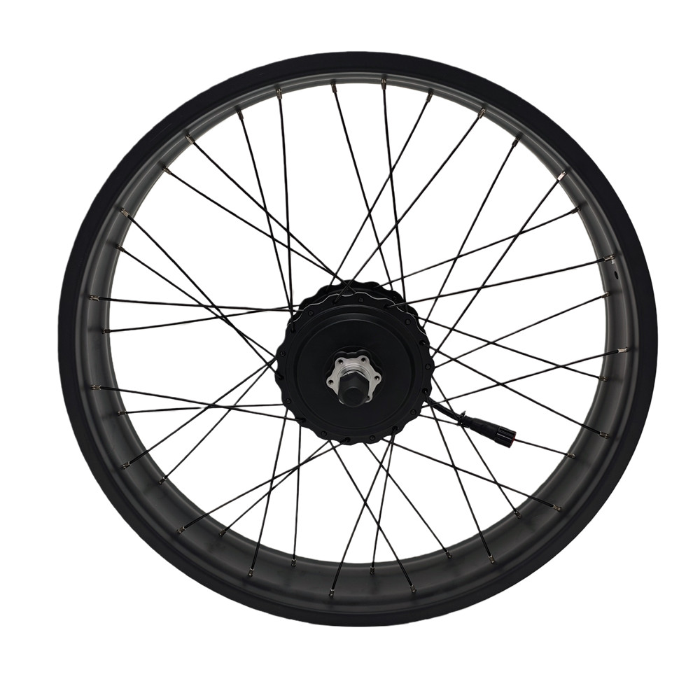 48V 750W BAFANG Front Hub Motor Wheel Conversion kit For Fat Tire 20/24/26×4.0″