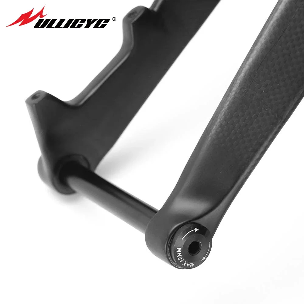 Mountain Carbon Bicycle Fork Bicycle Hard Fork Tube Thru Axle15*100mm Bike Parts