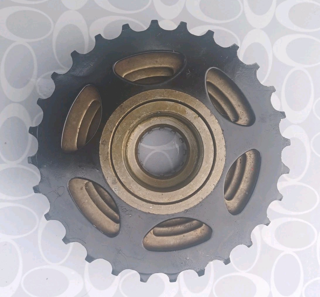 SIS 6-Speed Freewheel Replacement 14×28