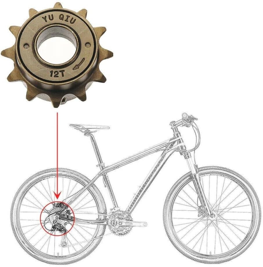 16T Single Speed Bike Freewheel Bicycle Cycling