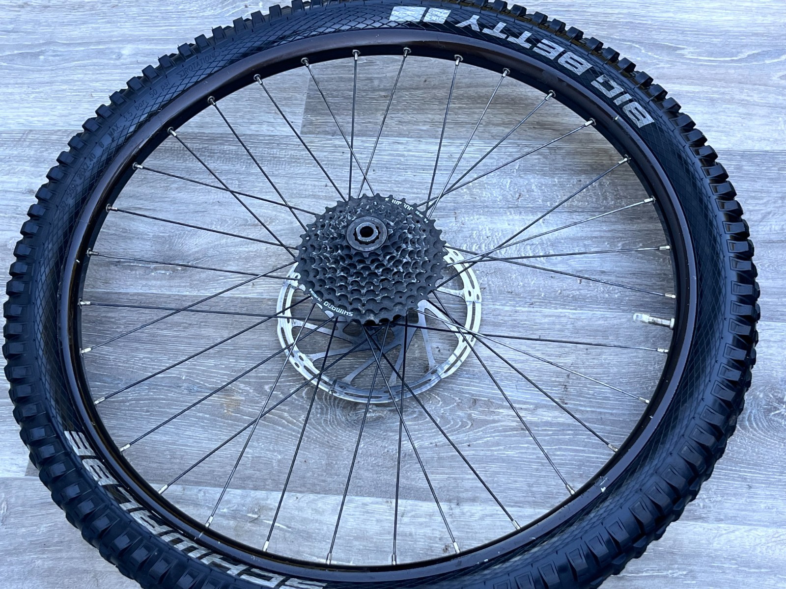 Rim rear wheel wheel 26 Cannondale Perp 26 Schwalbe Big Betty