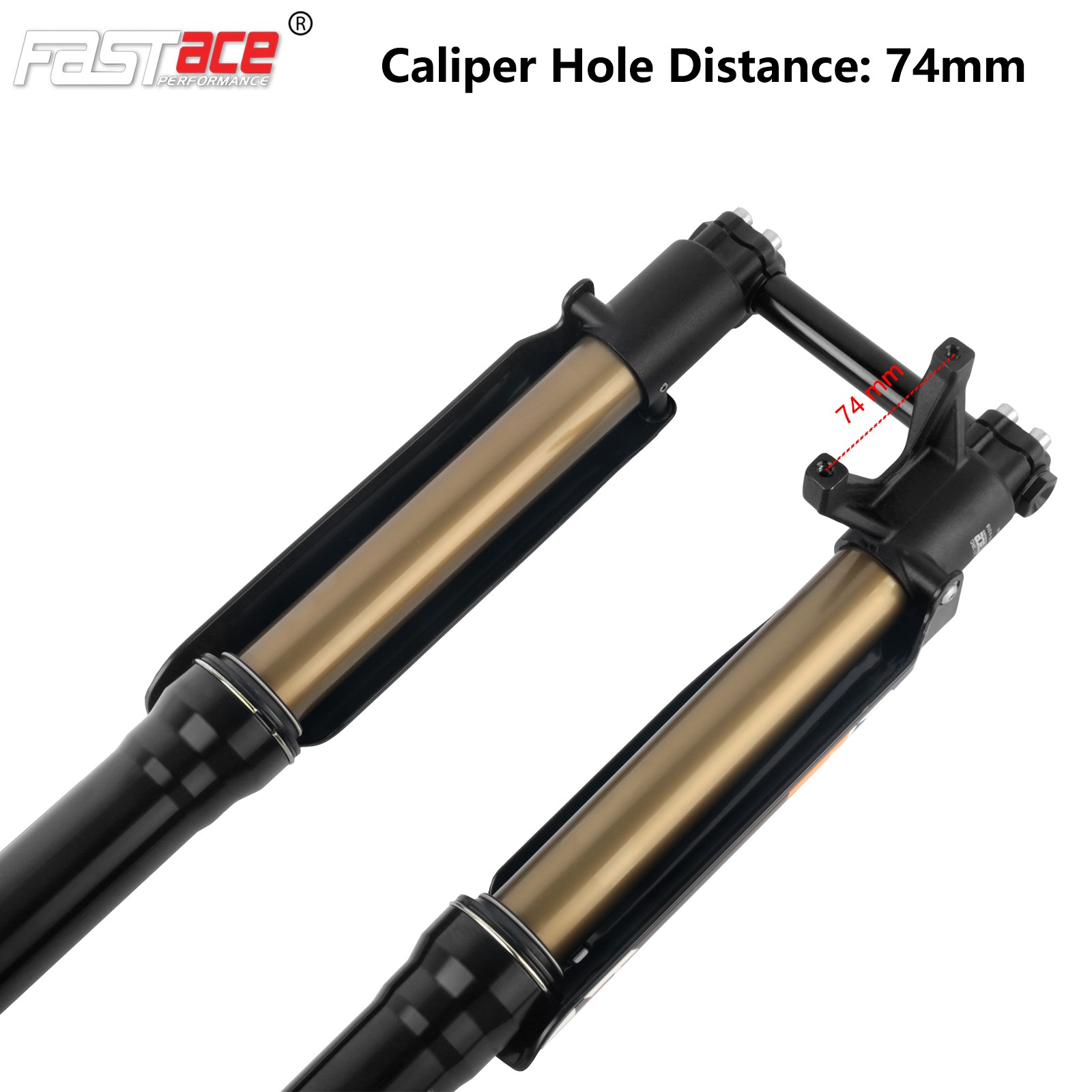FASTace ALX13RC Front Fork Suspension 60lbs for Surron Light Bee X Eride Pro SS