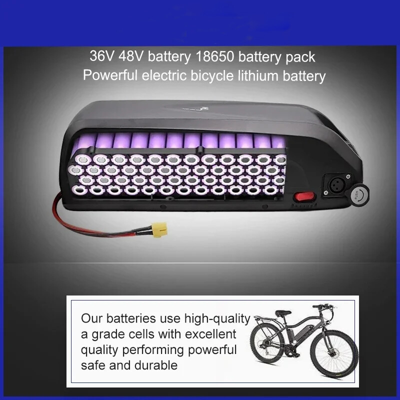 48V 20Ah Hailong Batterys for 200W-1000W Ebike Electric Bike Li-ion Batterys BMS