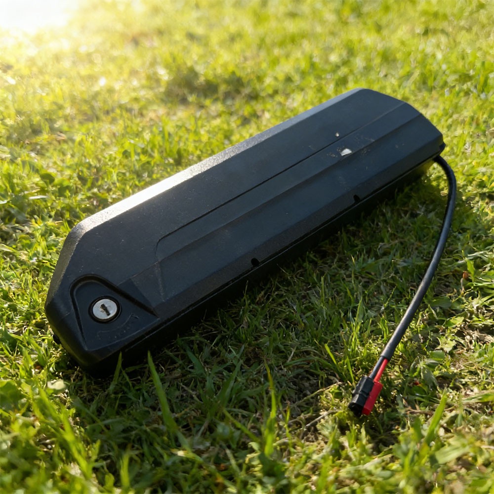 36V 15Ah 0-1000W Battery for Electric Motor 540Wh Lithium Battery