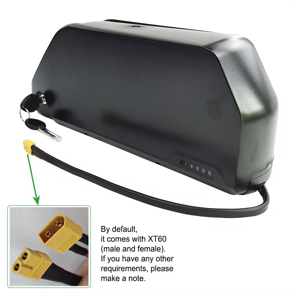 52V 48V 30Ah 250-1500W Hailong Ebike Battery Electric Bike Lithium Battery Pack