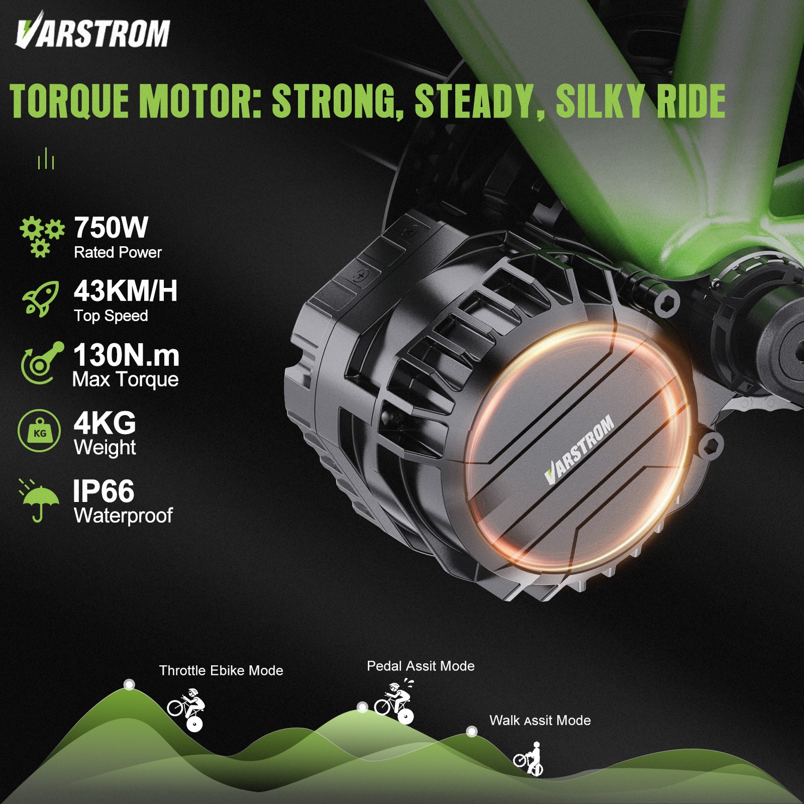 Vastrom VSM01 48V750W Mid Drive Torque Sensor Motor DZ41 Ebike Conversion Kits