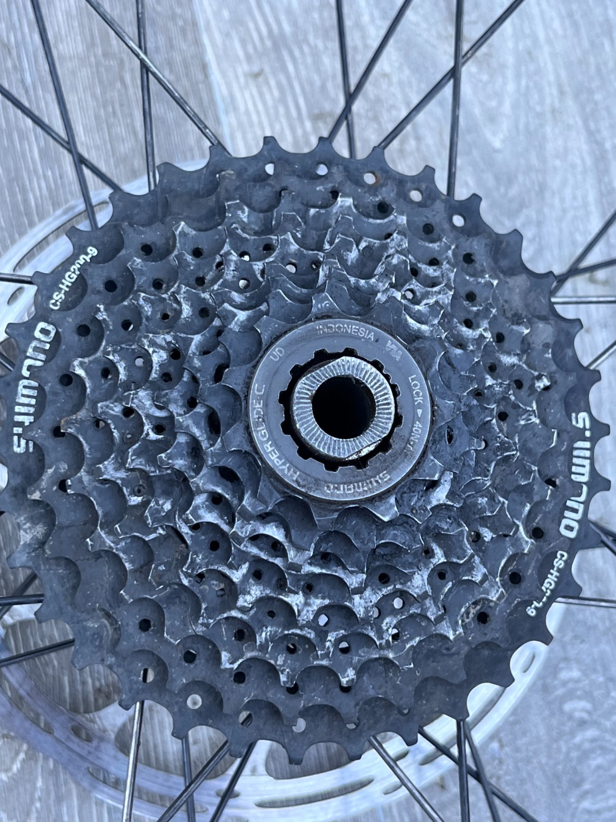 Rim rear wheel wheel 26 Cannondale Perp 26 Schwalbe Big Betty