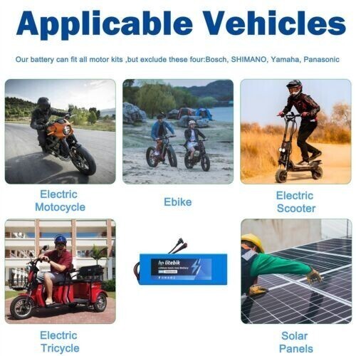 48V 10Ah Lithium Ebike Battery 30A BMS for 100W-1000W Electric Bicycles Scooter