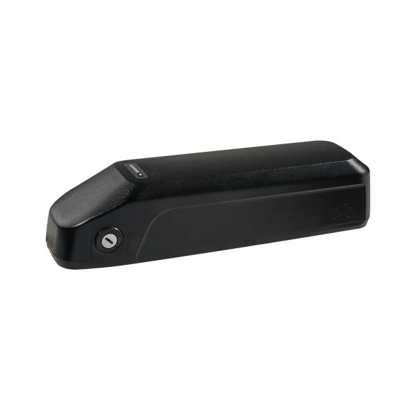 RAD POWER e-BIKE Universal Battery Key – 3 Keys $12.95 | USPS Priority Mail