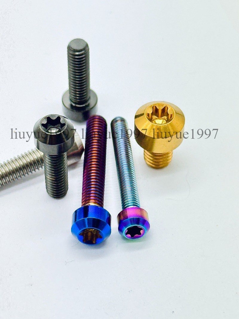 Titanium Bolt M4 M5 M6*10 15 20 25 30 35 40 -100mm Round Head Torx Screw Grade 5