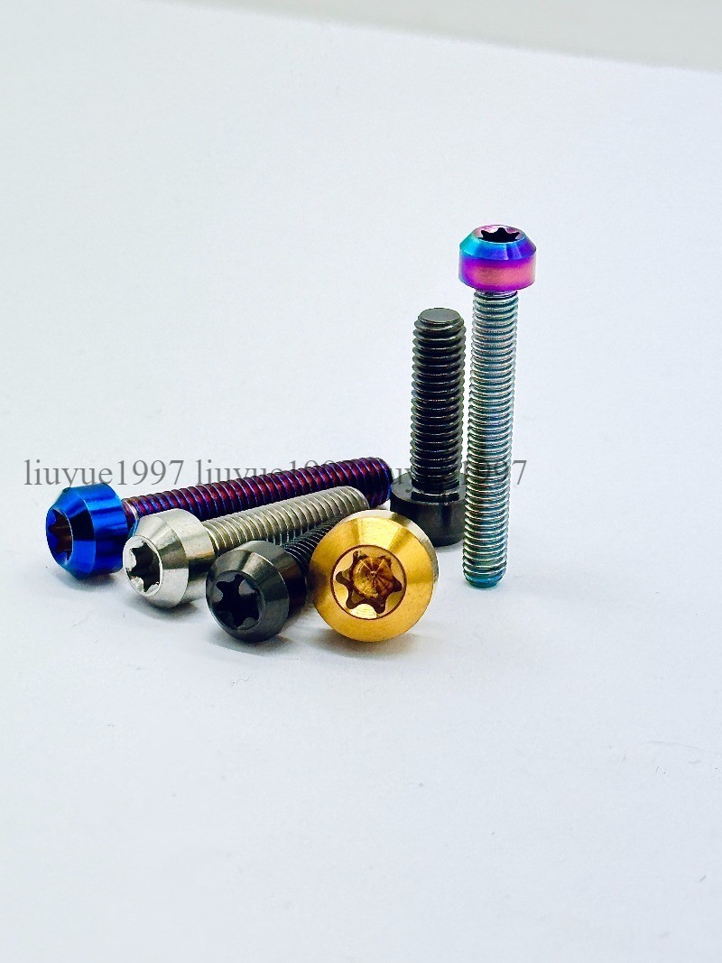 Titanium Bolt M4 M5 M6*10 15 20 25 30 35 40 -100mm Round Head Torx Screw Grade 5