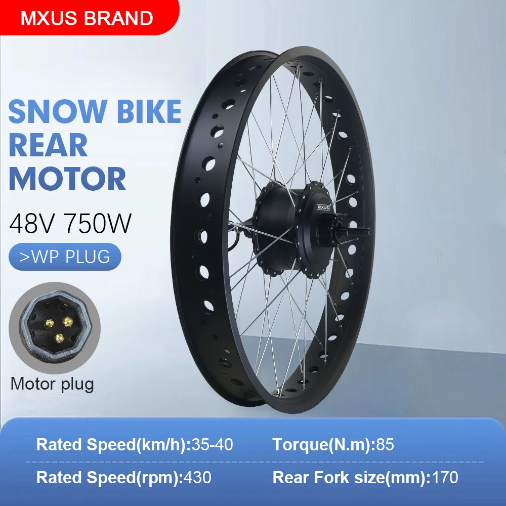 E-bike Fat Tire Conversion Kit 48V 750W Brushless Rear Cassette Hub Motor Wheel