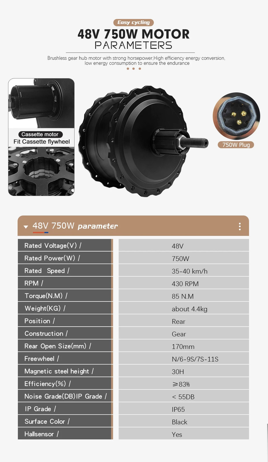 E-bike Fat Tire Conversion Kit 48V 750W Brushless Rear Cassette Hub Motor Wheel