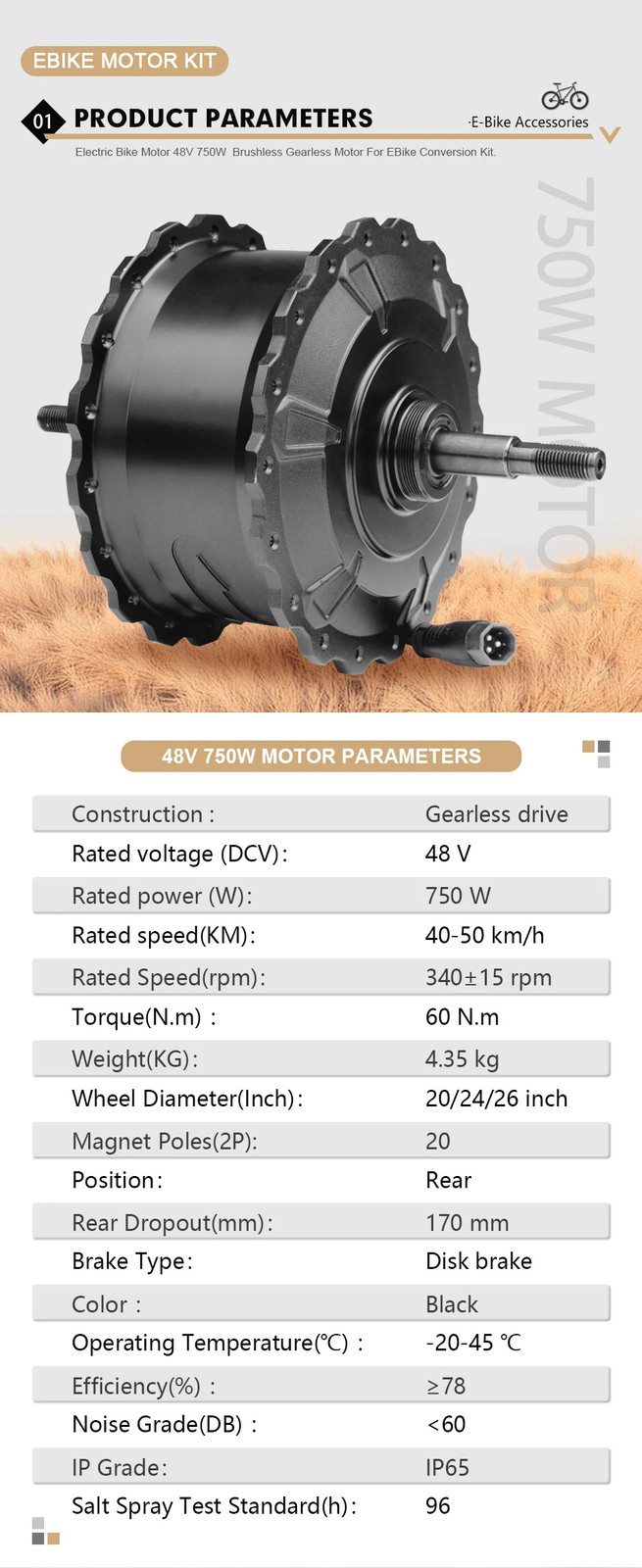 48V 750W Hub Motor Dropout 170mm Snow/Beach Ebike Rear Rotate Hub Motor Wheel