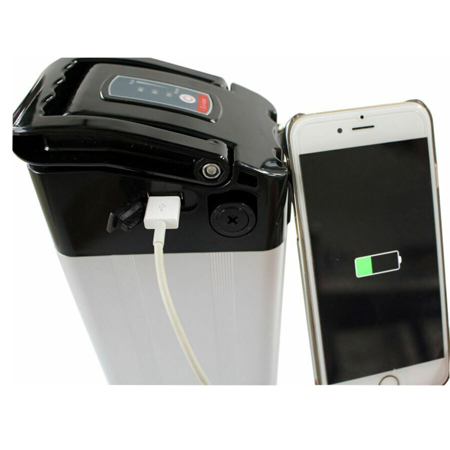 36V 48V Phylion Ebike Battery for 500W 750W Bicycle Electric Bike Battery 36V