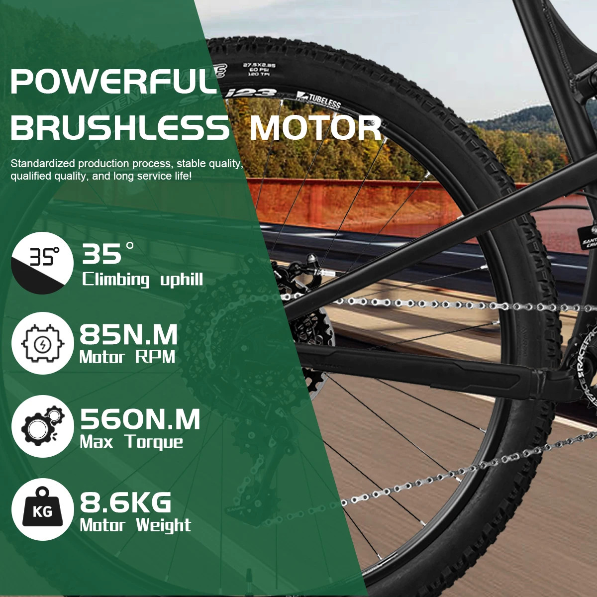 E-bike Motor 48V 2000W Rear Rotate Brushless Hub Motor Wheel Dropout 135mm