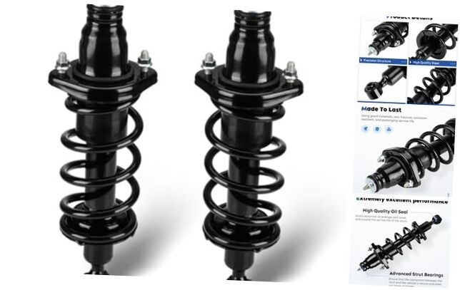 Rear Pair Struts Assembly w/Coil Spring Shock Absorber Fit for Honda Civic