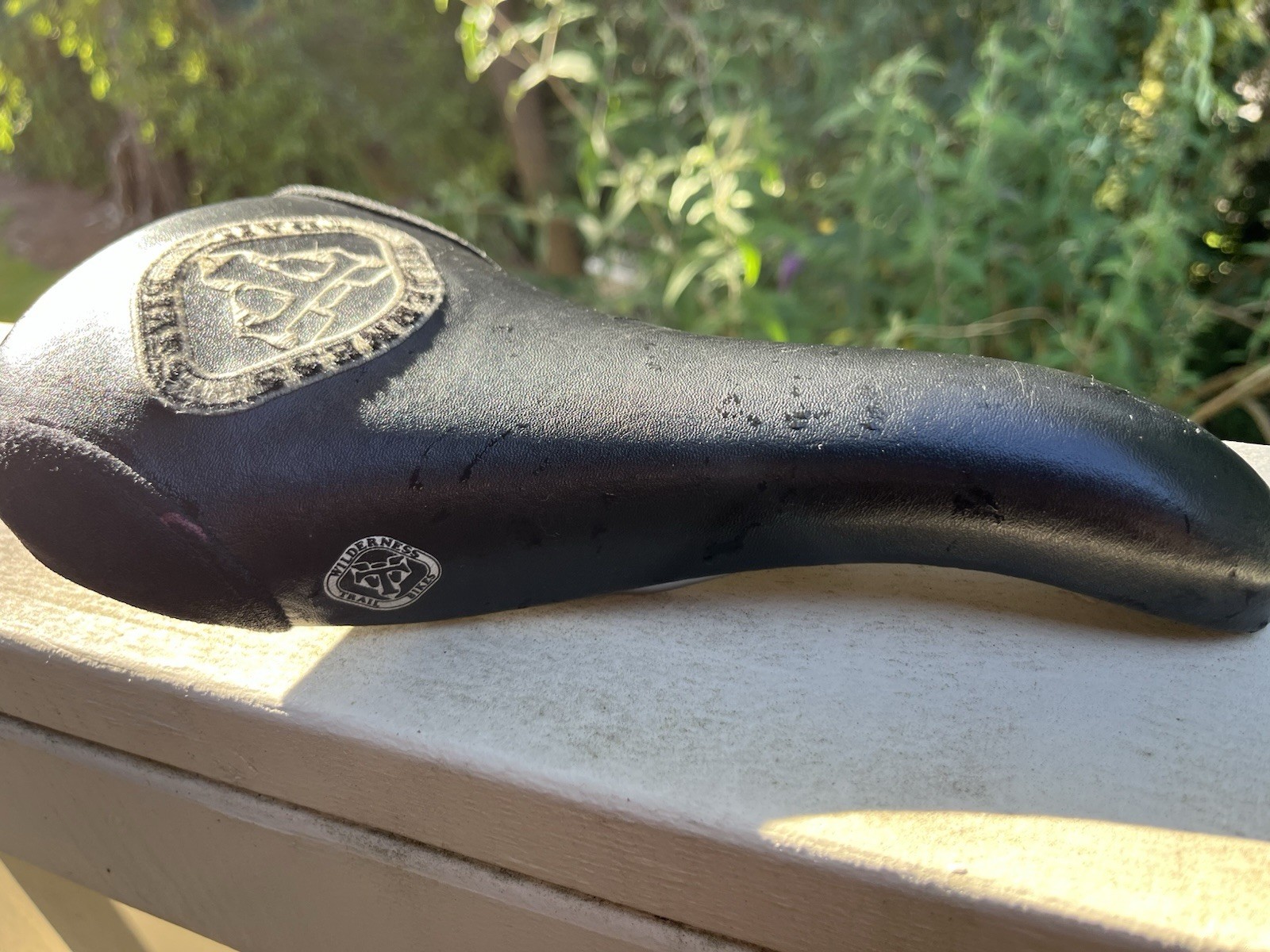 WTB SST.K Racing Bike Saddle Seat, Black Synthetic, Mountain Bike Compatible
