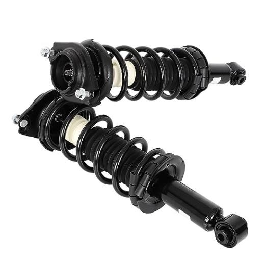 Rear Pair Complete Struts Coil Spring Assembly Shock Absorber Compatible with
