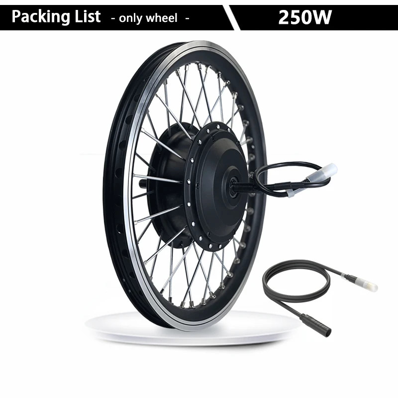 Electric Bike Motor Conversion Kit 36V 48V 250W Front Hub Motor 16-29 Inch 700C