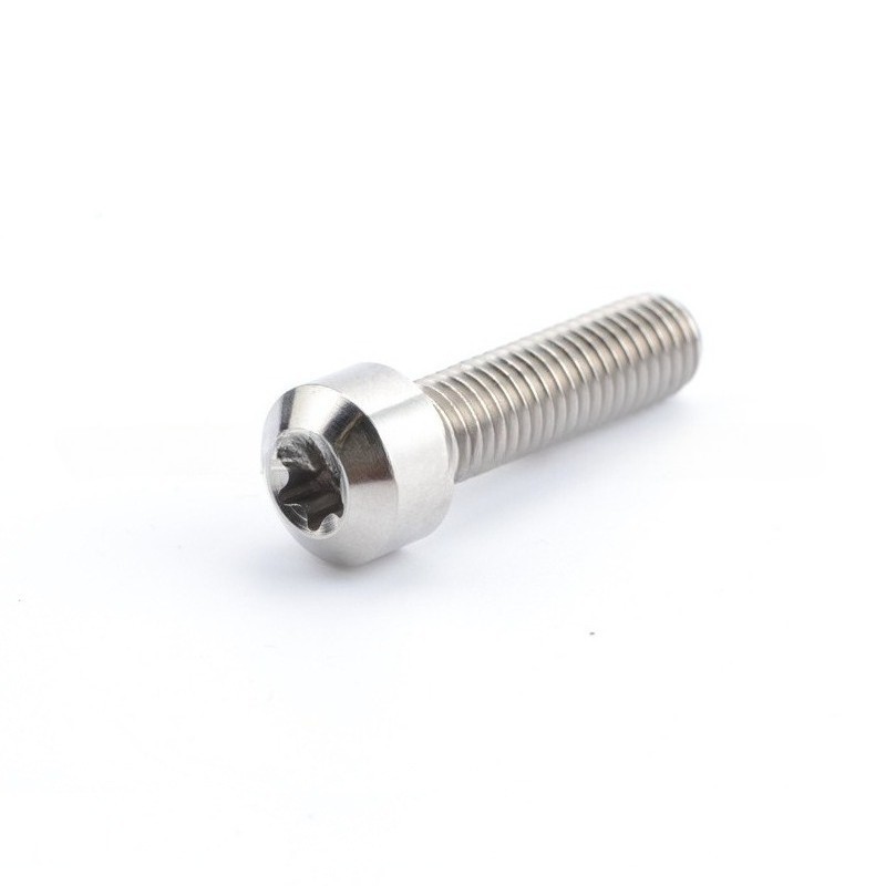 Titanium Bolt M5/M6x10 15 20 25 30 35 40 50 60 70 80mm Chamfered Head Torx Screw