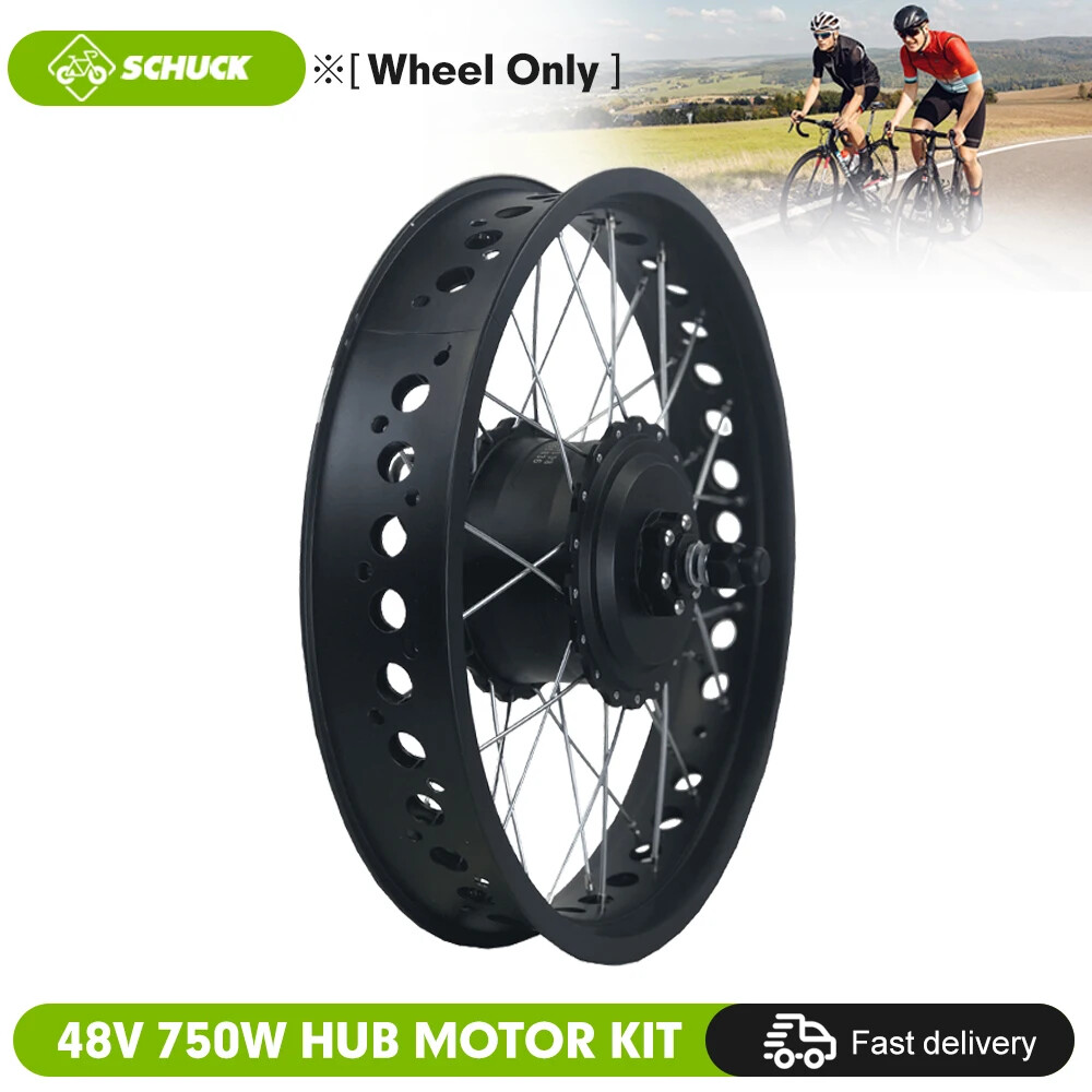 Snow E-bike 48V 750W 20 24 26inch Fat Tire Brushless Gear Rear Rotate Hub Motor