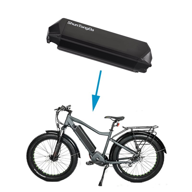 48V Reention dorado battery 25ah for Multijoy EB260 NCM moscow ebike