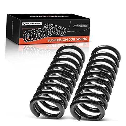 2Pcs Rear Left and Right Suspension Coil Spring Set Compatible with Buick