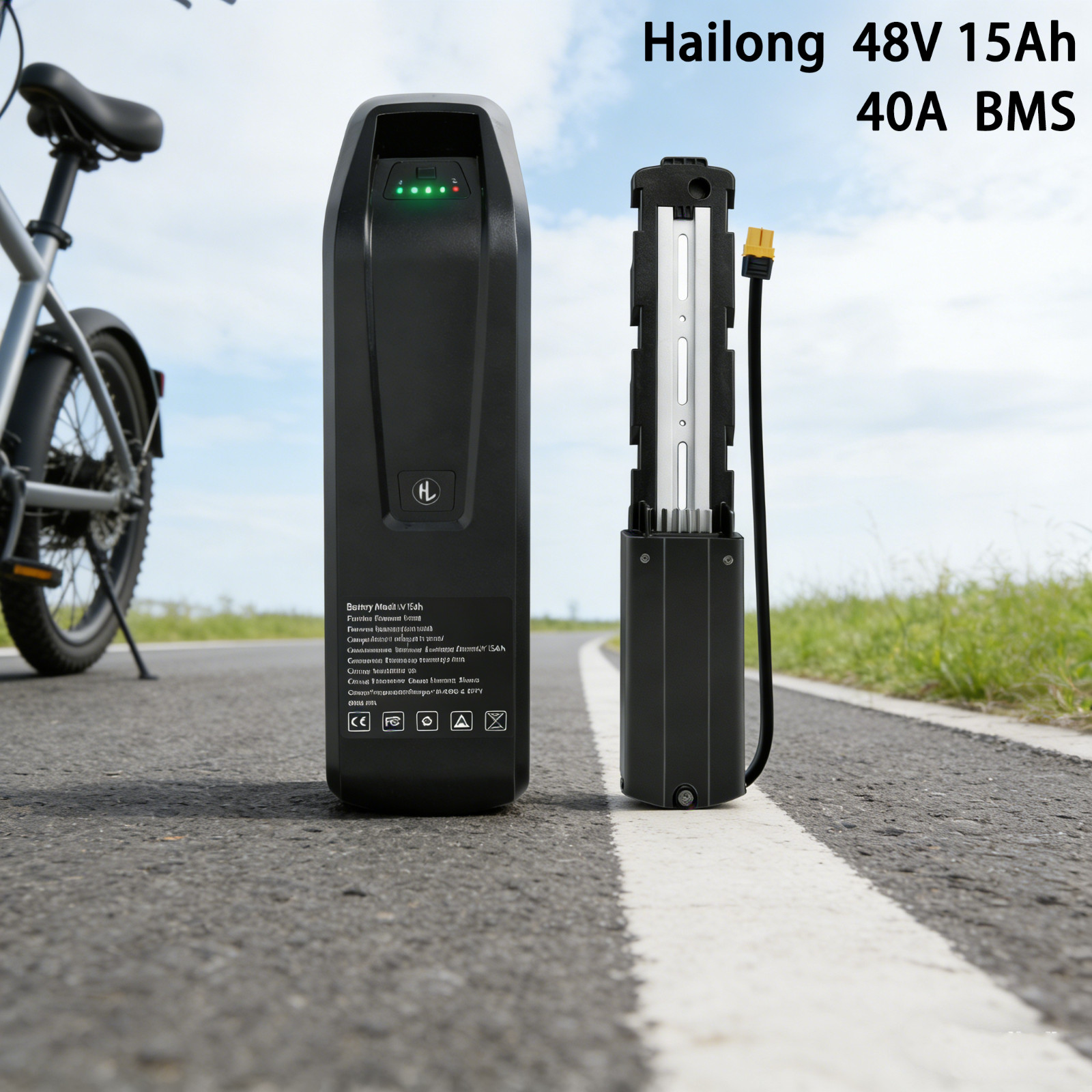 48V 15Ah Ebike Lithium Battery Pack 200W 1000W Motor Bike Hailong 5PIN Battery