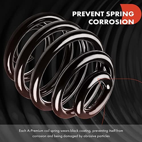 2Pcs Rear Suspension Coil Spring Set Compatible with Audi TT Quattro 8N3 2001